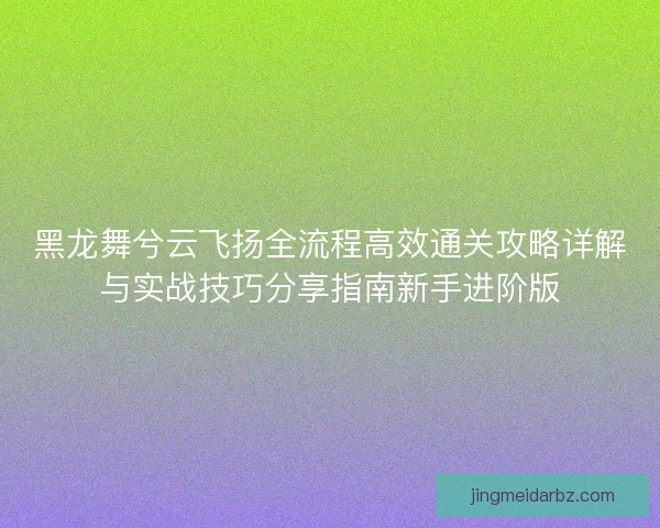黑龙舞兮云飞扬全流程高效通关攻略详解与实战技巧分享指南新手进阶版